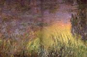 Claude Monet Water Lilies at Sunset painting